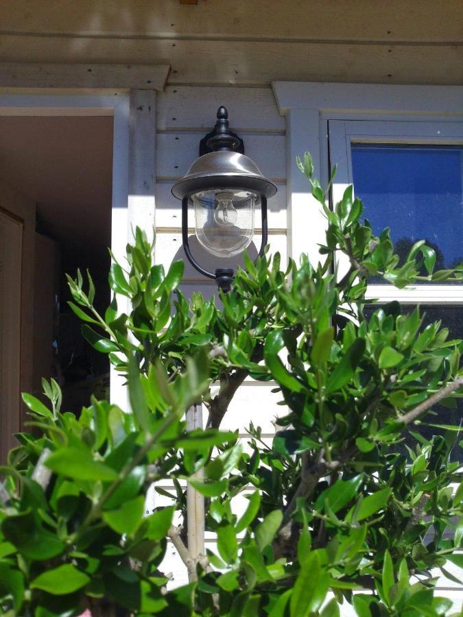 Lavendelbo B&B Hjallerup 外观 照片